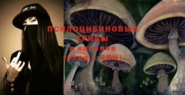 ПСИЛОЦИБИНОВЫЕ ГРИБЫ Абдулино