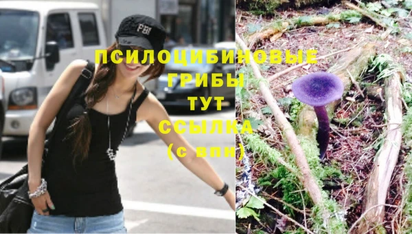 ПСИЛОЦИБИНОВЫЕ ГРИБЫ Абдулино