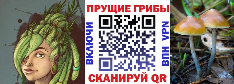 Галлюциногенные грибы прущие грибы  Остров 